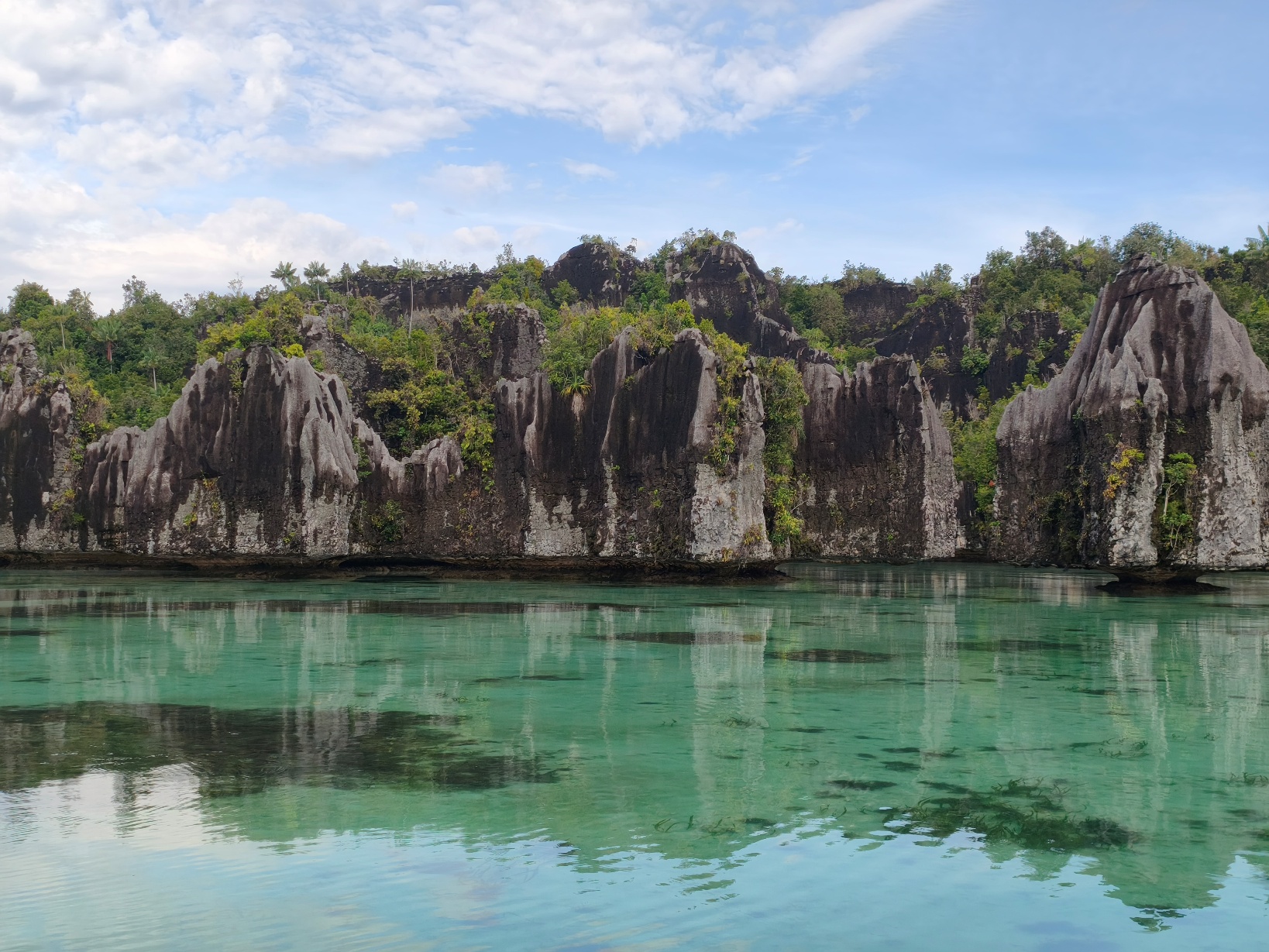Why Raja Ampat Is a Must-Visit Destination for Nature Lovers